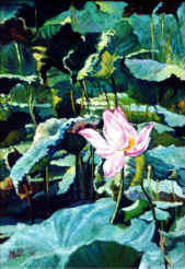 wpeE.jpg (40632 bytes)