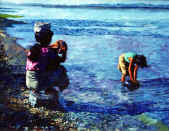 wpeB.jpg (46770 bytes)